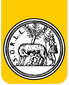 SOCIETAS ORL LATINA Logo